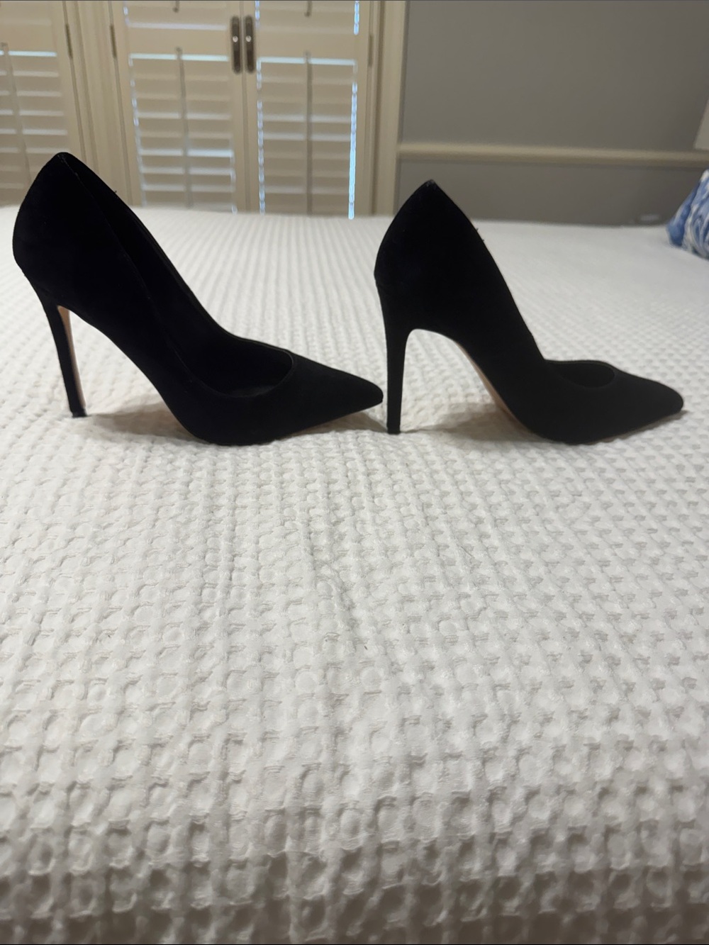 Steve Madden Classic Women's Black Pointed Toe Stiletto Pump- suede